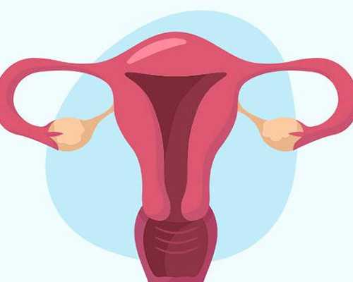 代怀孕的女友回家|美国试管婴儿胚胎移植前，子宫内膜不达标怎么办？