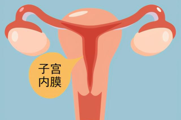 代怀服务_辅助代怀网,找上海试管婴儿代怀中介多少钱？