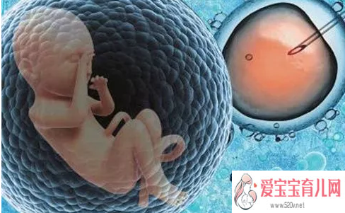为延续香火找代孕_代孕试管医院_胚胎冷冻对宝宝有影响试管婴儿冷冻胚胎有什